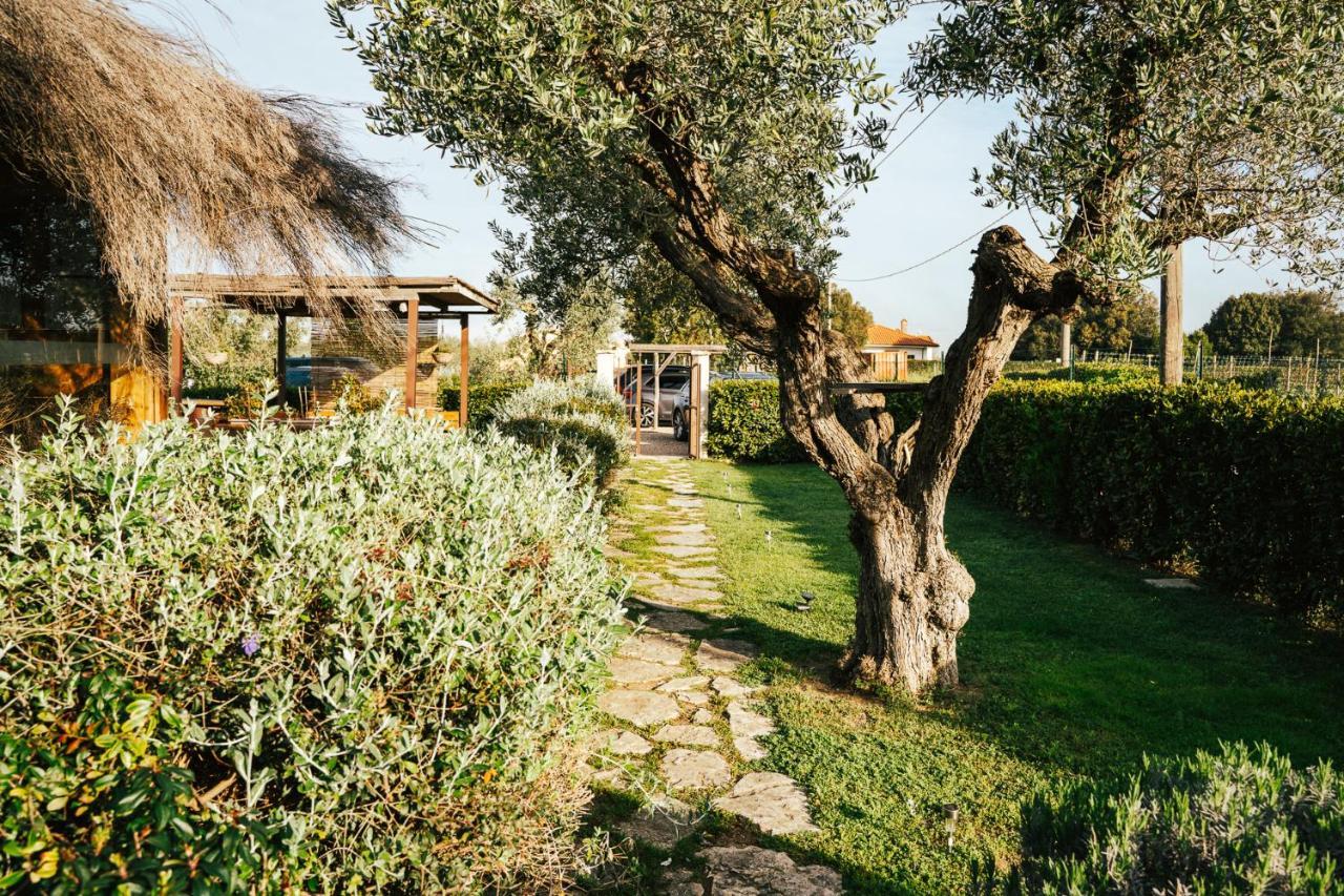 Agriturismo Sweet Cottage Marina di Grosseto Exteriör bild