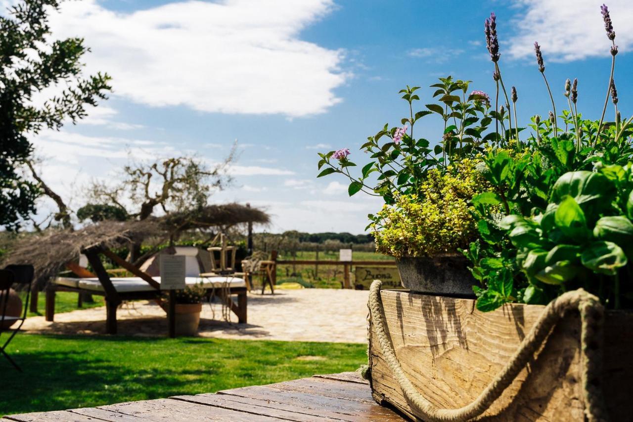 Agriturismo Sweet Cottage Marina di Grosseto Exteriör bild
