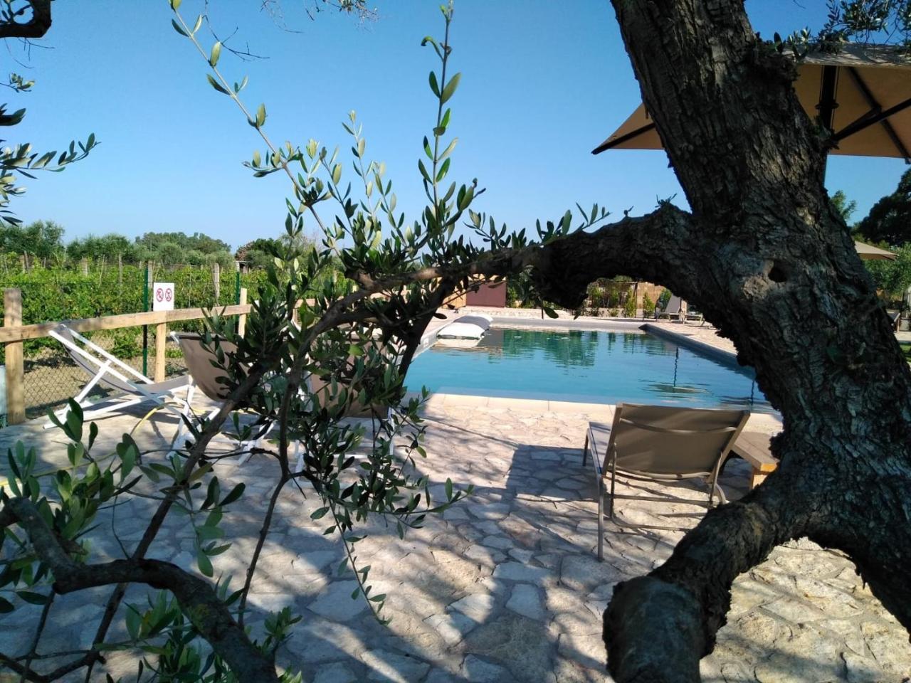 Agriturismo Sweet Cottage Marina di Grosseto Exteriör bild